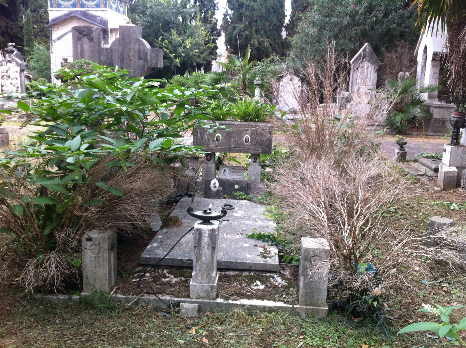 Cimitero Verano degrado 6