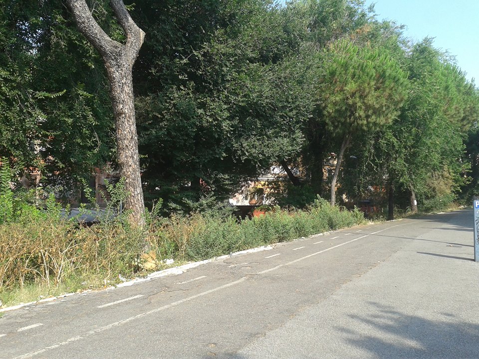 Verde incolto