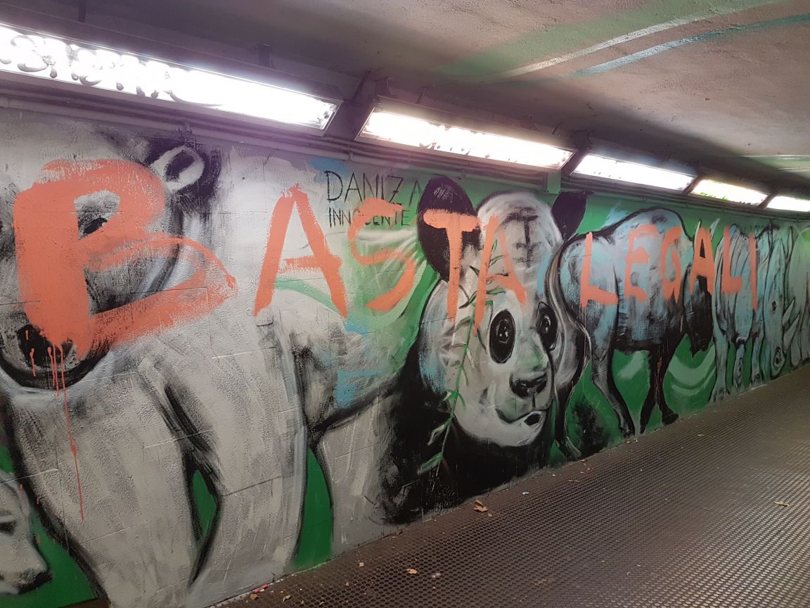 Graffiti staz nomentana5