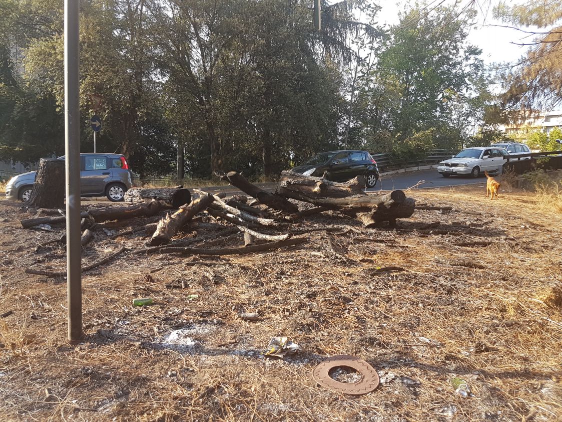 Incendio alberi viale Etiopia