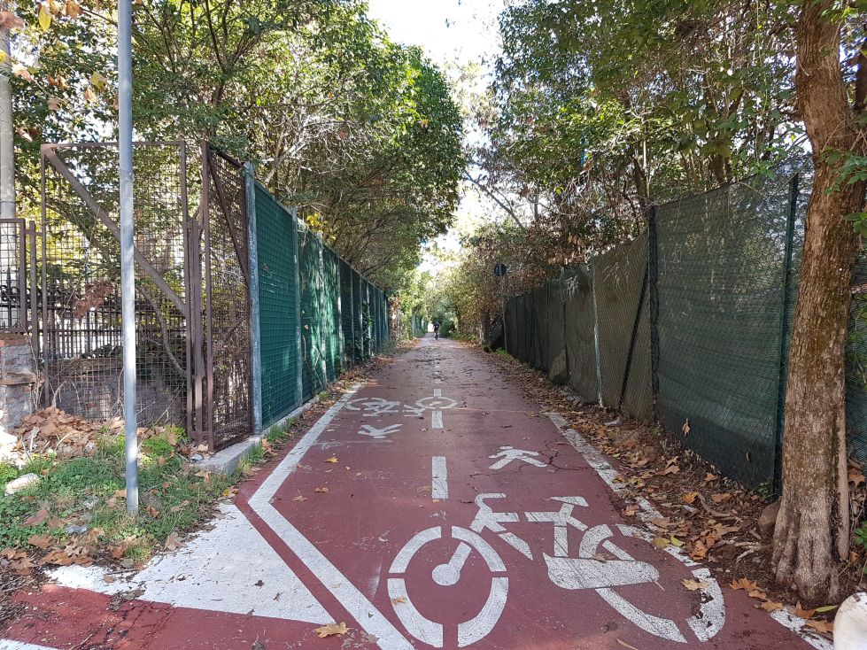 Ciclabile ponte milvio4
