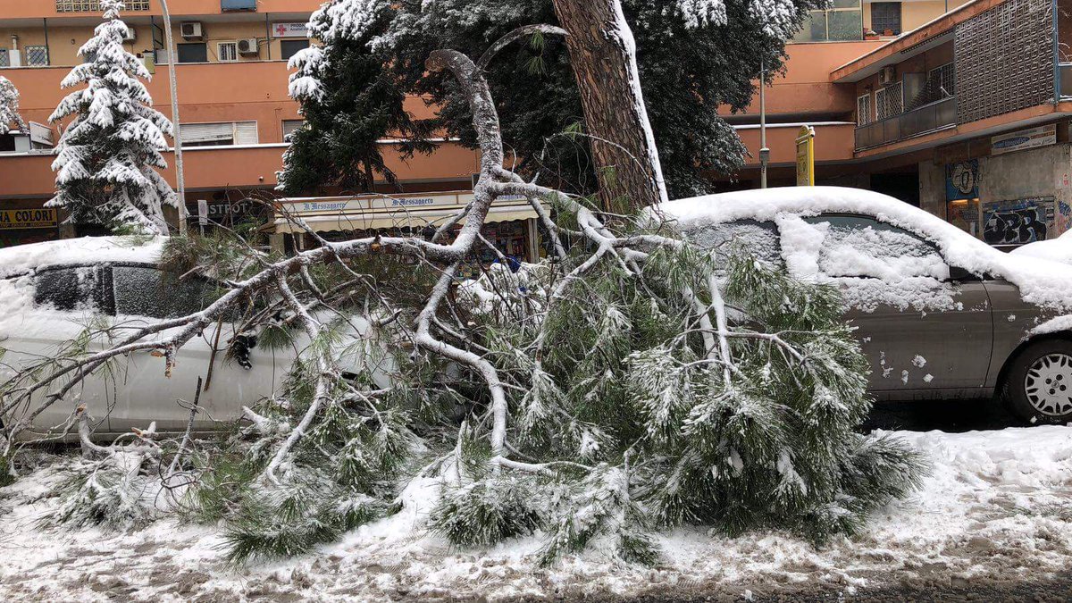alberi caduti neve2